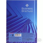 Записная книжка  80 л. "Проф-Пресс" А6  (Бизнес-Классика) №6466, лён.